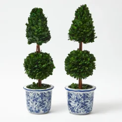Chinoiserie Potted Boxwood Tree (Pair)