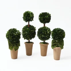 Double Potted Boxwood Balls (Pair)