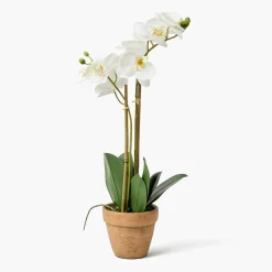 Double Stem Potted Faux Orchid