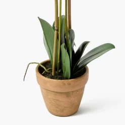 Double Stem Potted Faux Orchid