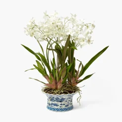 Faux Dancing Lady Orchid in Chinoiserie Planter