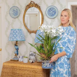 Faux Dancing Lady Orchid in Chinoiserie Planter