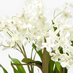 Faux Dancing Lady Orchid in Chinoiserie Planter