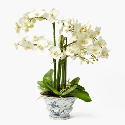 Faux Orchid in Chinoiserie Planter