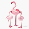 Faye Flamingo Family