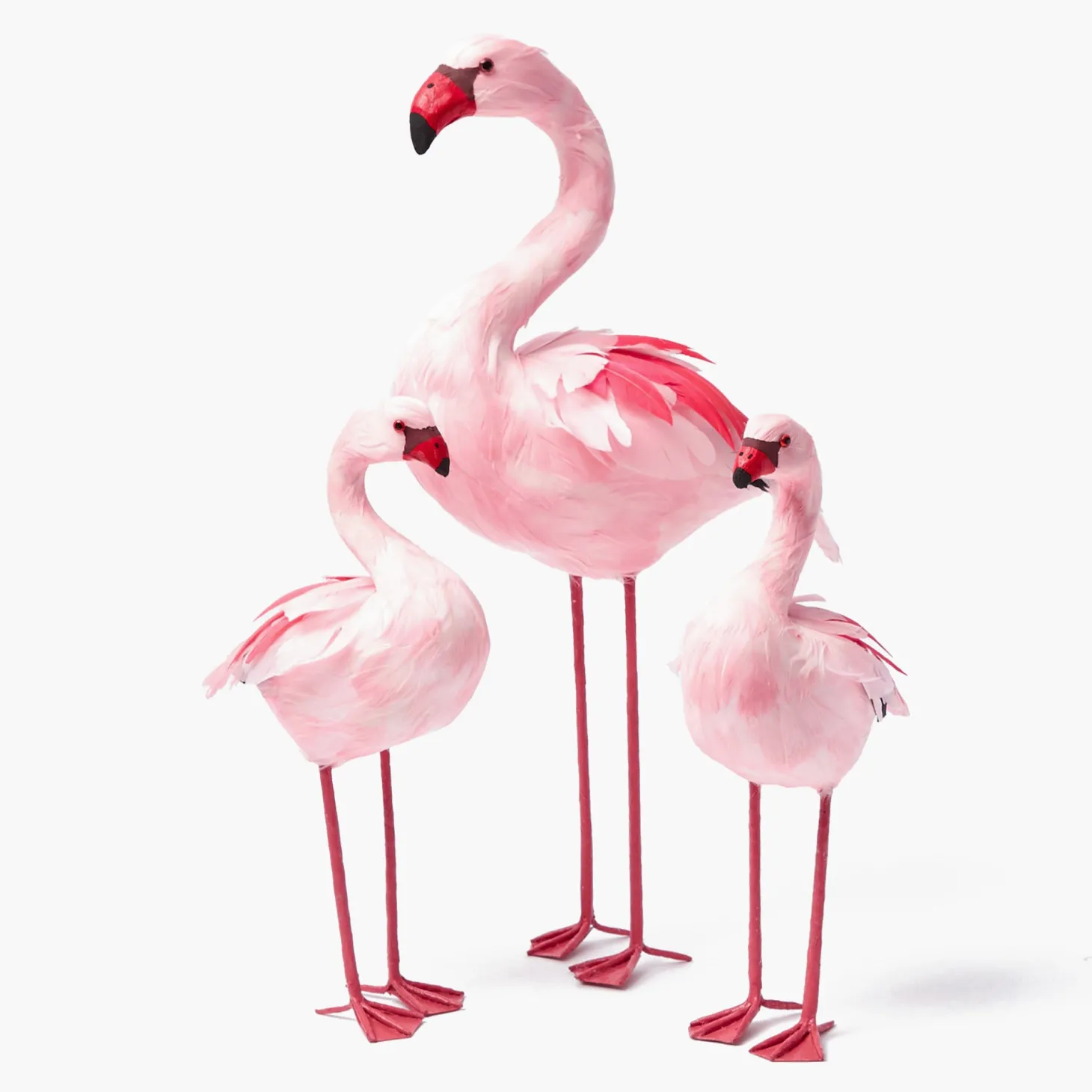 Faye Flamingo Family