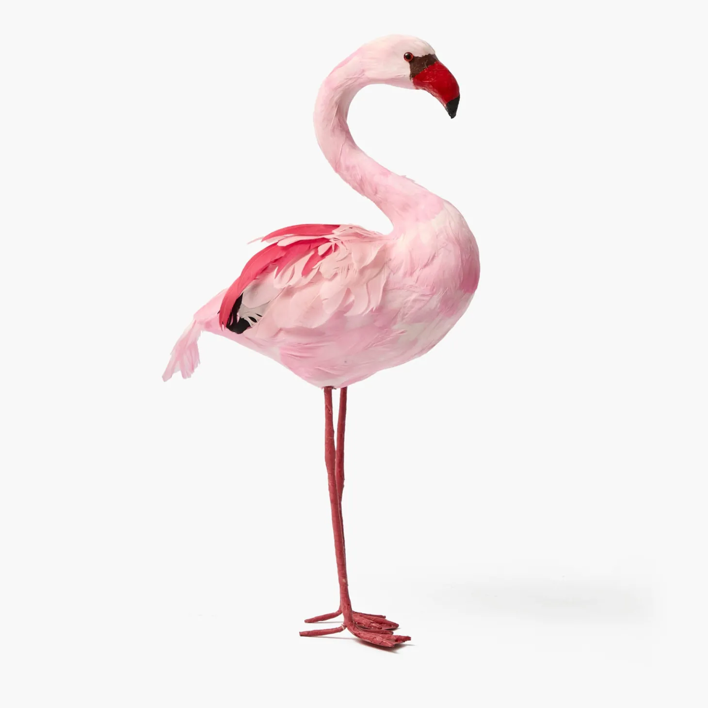 Faye Flamingo Family