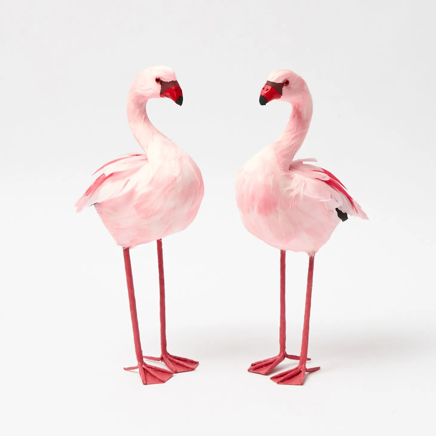 Faye Flamingo Family