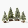 Frosted Fir Tree Family
