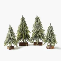 Frosted Fir Tree Family