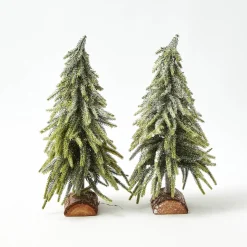 Frosted Fir Tree Family