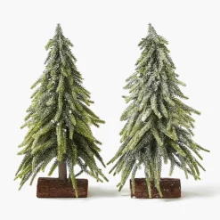 Frosted Fir Tree Family