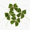 Gold Trimmed Green Velvet Bows (Set of 4)