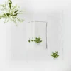 Lily of the Valley White Linen Napkins (Set of 4)