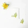 Mimosa White Linen Napkins (Set of 4)
