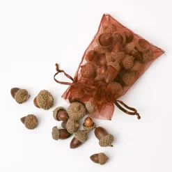 Mrs. Alice Decorative Acorns