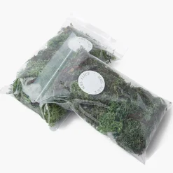 Mrs. Alice Decorative Moss