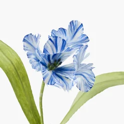 Mrs. Alice Handpainted Blue Tulip