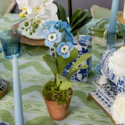 Mrs. Alice Handpainted Blue Auricula