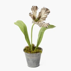 Mrs. Alice Handpainted Chocolate Tulip