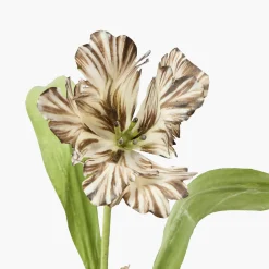 Mrs. Alice Handpainted Chocolate Tulip