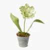 Mrs. Alice Handpainted Green Tulip