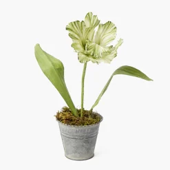 Mrs. Alice Handpainted Green Tulip