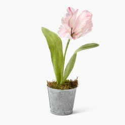 Mrs. Alice Handpainted Pink Tulip