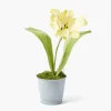 Mrs. Alice Handpainted Yellow Tulip