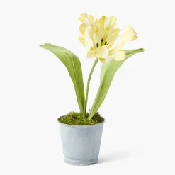 Mrs. Alice Handpainted Yellow Tulip