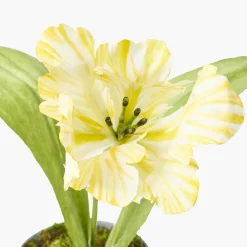 Mrs. Alice Handpainted Yellow Tulip