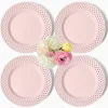 Pink Basketweave Dinner Plate (Set of 4)