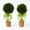 Potted Boxwood Ball with Green Bow (Pair)