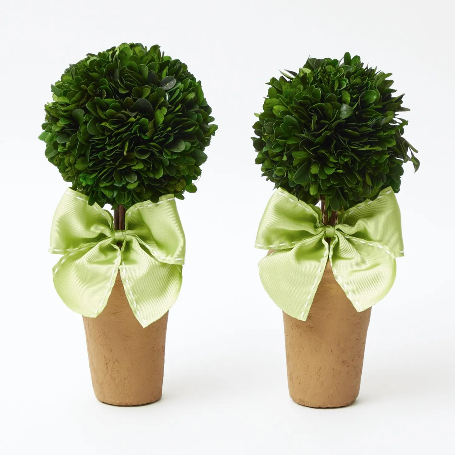 Potted Boxwood Ball with Green Bow (Pair)