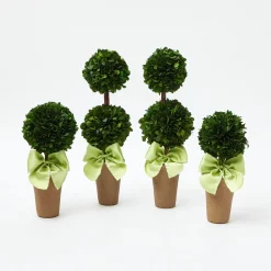 Potted Boxwood Ball with Green Bow (Pair)