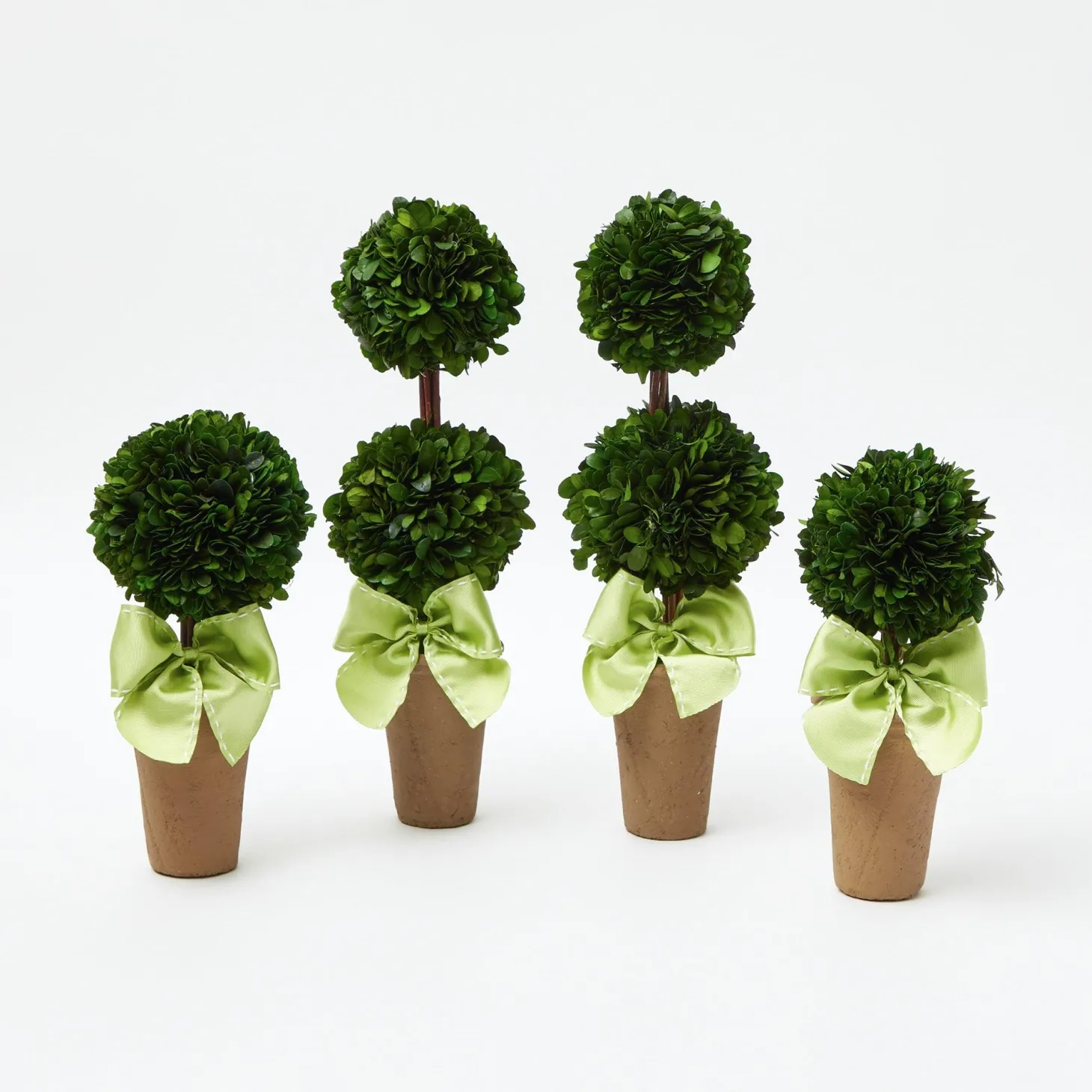 Potted Boxwood Ball with Green Bow (Pair)