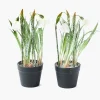 Potted Faux Frosted Snowdrop (Pair)