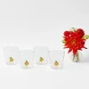 Pumpkin Glasses (Set of 4)