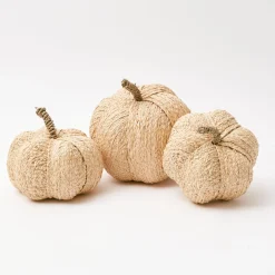 Raffia Pumpkin Family