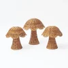 Rattan Mushroom Family