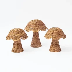 Rattan Mushroom Family