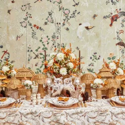 Rattan Mushroom Family