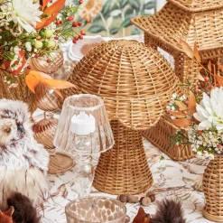 Rattan Mushroom Family