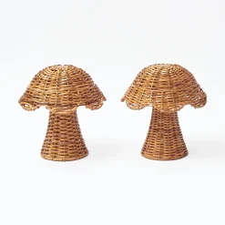 Rattan Mushroom Family