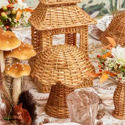 Rattan Mushroom Family