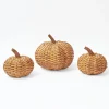 Rattan Pumpkin Family