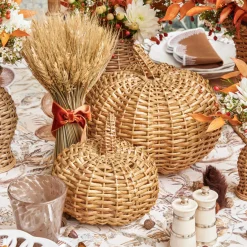 Rattan Pumpkin Family