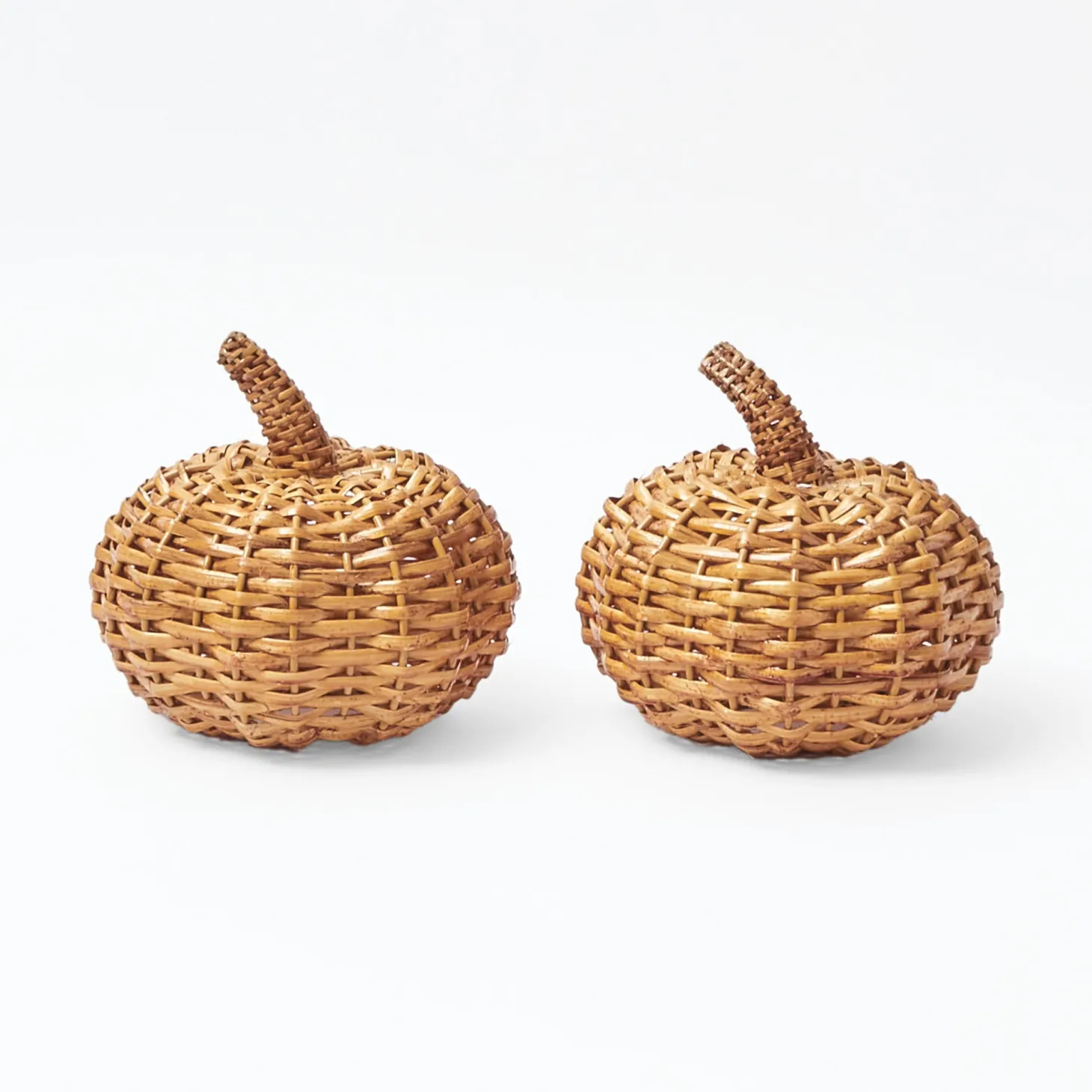 Rattan Pumpkin Family