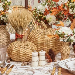 Rattan Pumpkin Family