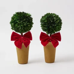 Red Ribboned Potted Boxwood Ball (Pair)
